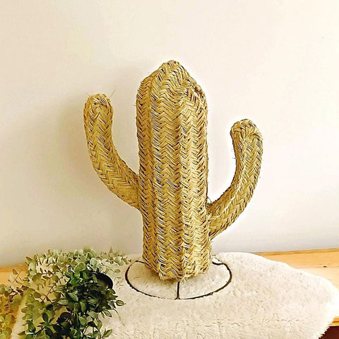 Mini Cactus Osier