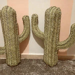 Cactus décoration Osier