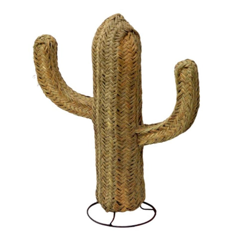 Cactus deco naturelle