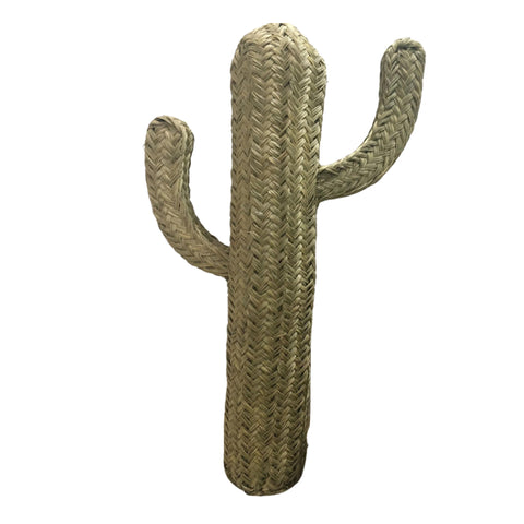 Grand cactus osier 